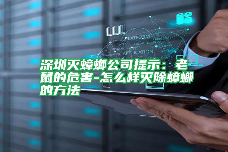 深圳滅蟑螂公司提示:老鼠的危害-怎么樣滅除蟑螂的方法