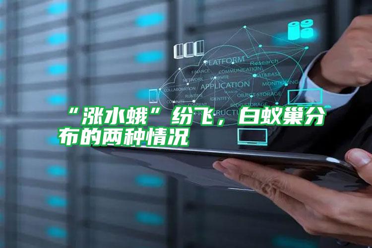 “漲水蛾”紛飛,白蟻巢分布的兩種情況