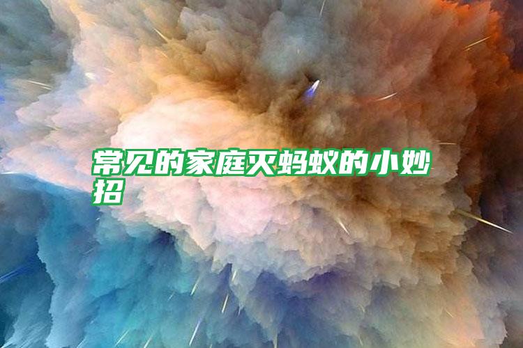 常見的家庭滅螞蟻的小妙招