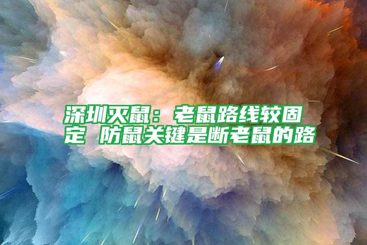 深圳滅鼠:老鼠路線較固定 防鼠關(guān)鍵是斷老鼠的路