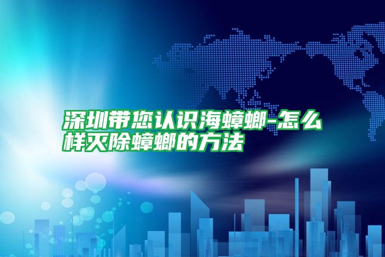 深圳帶您認(rèn)識海蟑螂-怎么樣滅除蟑螂的方法