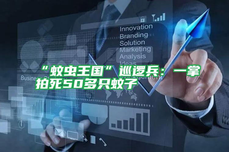 “蚊蟲王國”巡邏兵:一掌拍死50多只蚊子