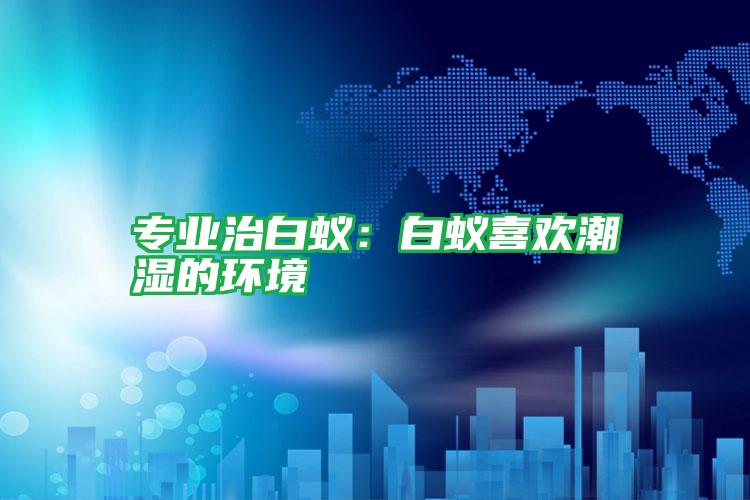 專業(yè)治白蟻:白蟻喜歡潮濕的環(huán)境
