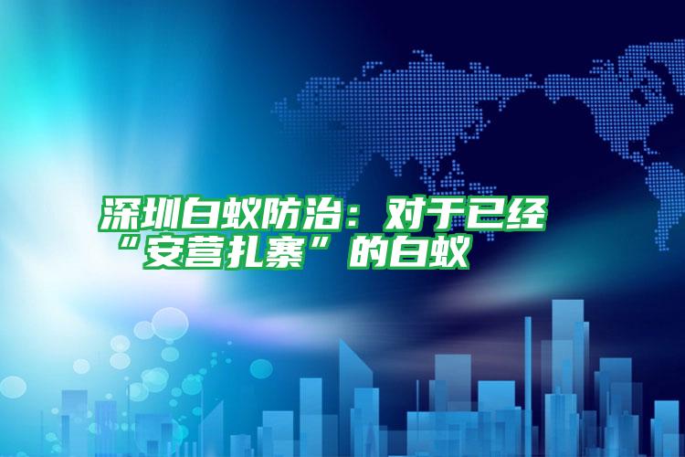 深圳白蟻防治:對于已經(jīng)“安營扎寨”的白蟻