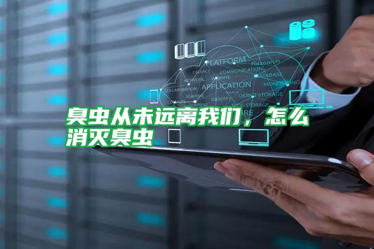 臭蟲從未遠(yuǎn)離我們,怎么消滅臭蟲