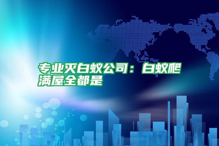 專業(yè)滅白蟻公司:白蟻爬滿屋全都是