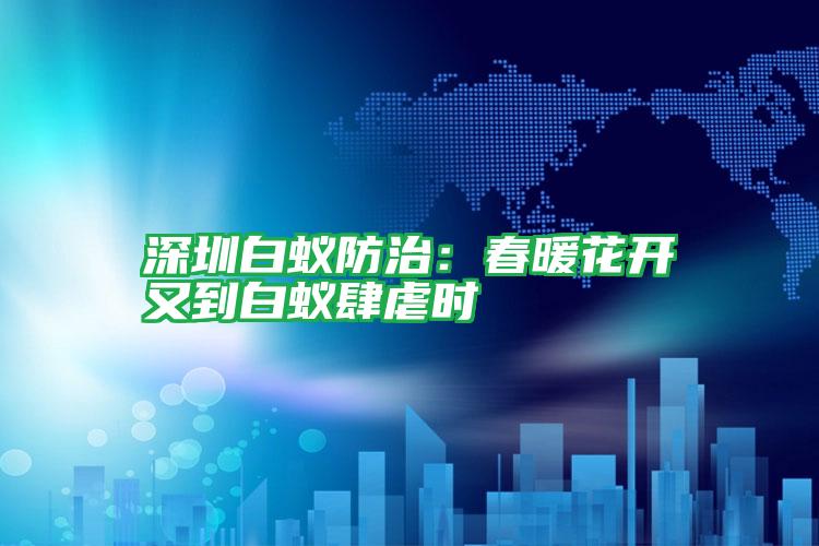 深圳白蟻防治:春暖花開又到白蟻肆虐時