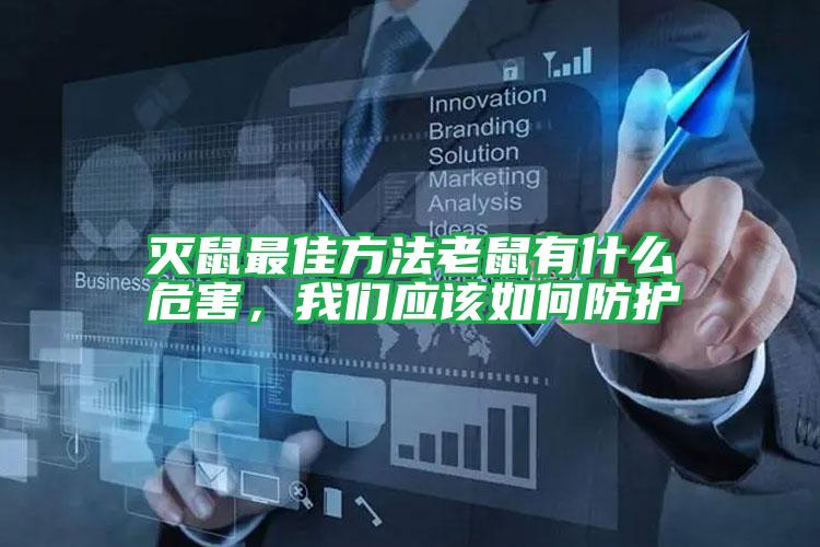 滅鼠最佳方法老鼠有什么危害,我們應(yīng)該如何防護(hù)