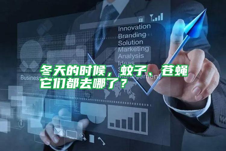 冬天的時候,蚊子、蒼蠅它們都去哪了?