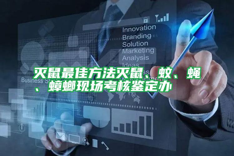 滅鼠最佳方法滅鼠、蚊、蠅、蟑螂現(xiàn)場考核鑒定辦