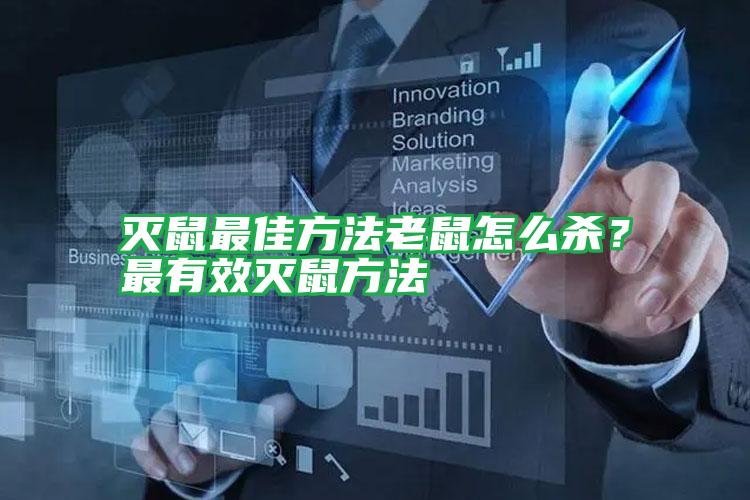 滅鼠最佳方法老鼠怎么殺?最有效滅鼠方法