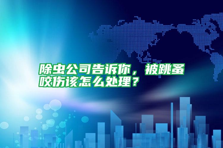 除蟲(chóng)公司告訴你,被跳蚤咬傷該怎么處理?
