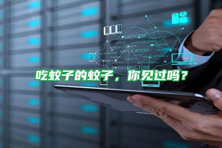 吃蚊子的蚊子,你見過嗎?