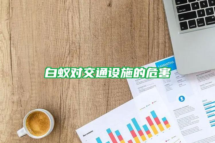 白蟻對(duì)交通設(shè)施的危害