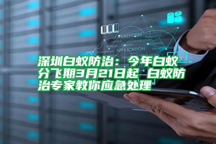 深圳白蟻防治:今年白蟻分飛期3月21日起 白蟻防治專家教你應急處理