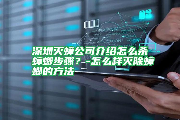 深圳滅蟑公司介紹怎么殺蟑螂步驟?-怎么樣滅除蟑螂的方法