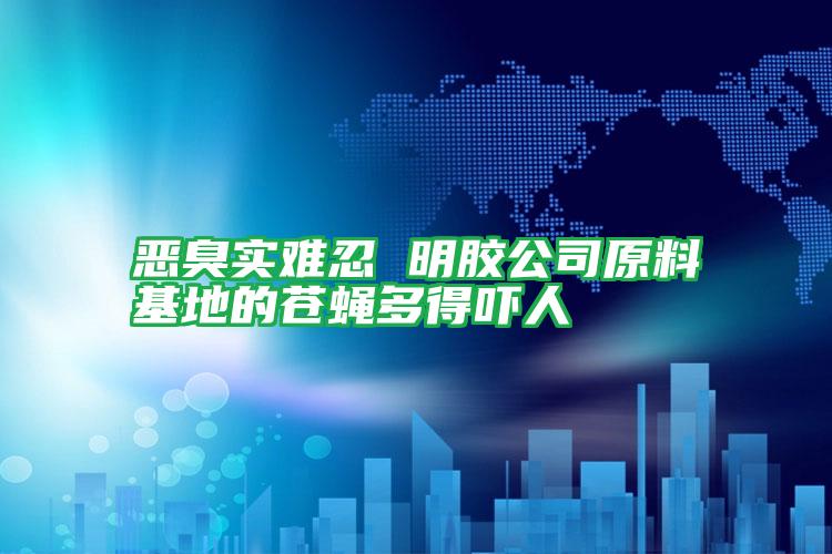 惡臭實難忍 明膠公司原料基地的蒼蠅多得嚇人