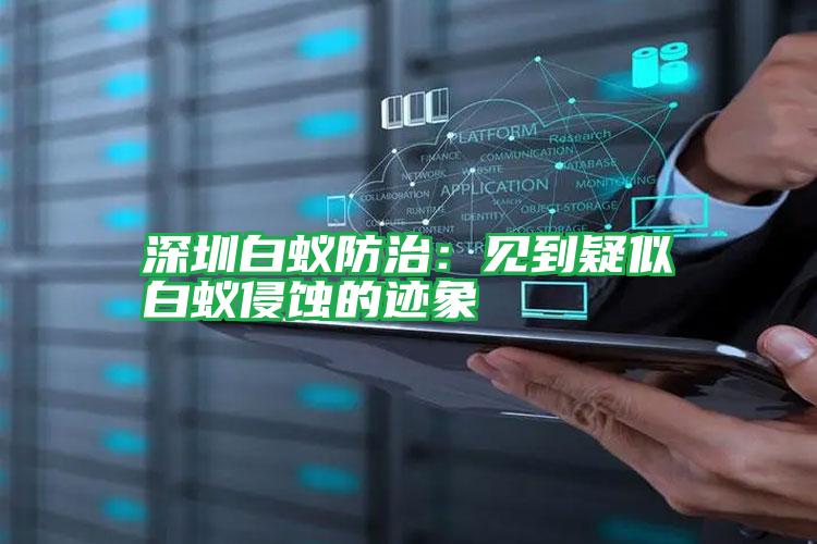 深圳白蟻防治:見到疑似白蟻侵蝕的跡象