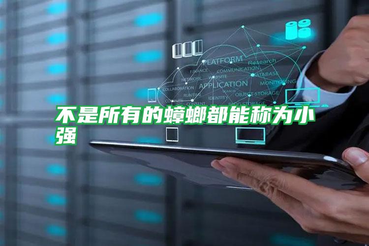 不是所有的蟑螂都能稱為小強
