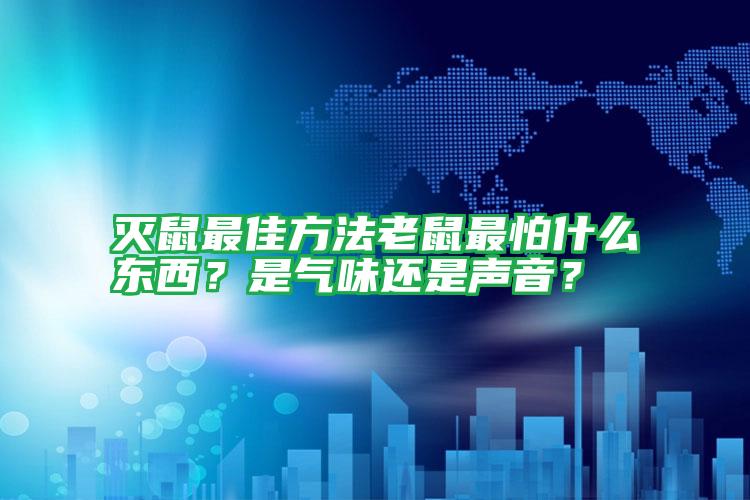 滅鼠最佳方法老鼠最怕什么東西?是氣味還是聲音?