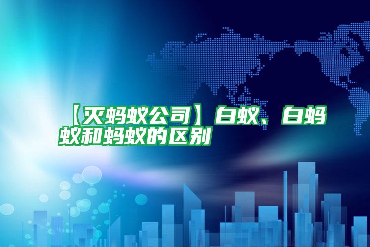 【滅螞蟻公司】白蟻、白螞蟻和螞蟻的區(qū)別