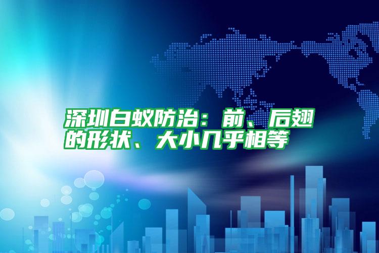 深圳白蟻防治:前、后翅的形狀、大小幾乎相等