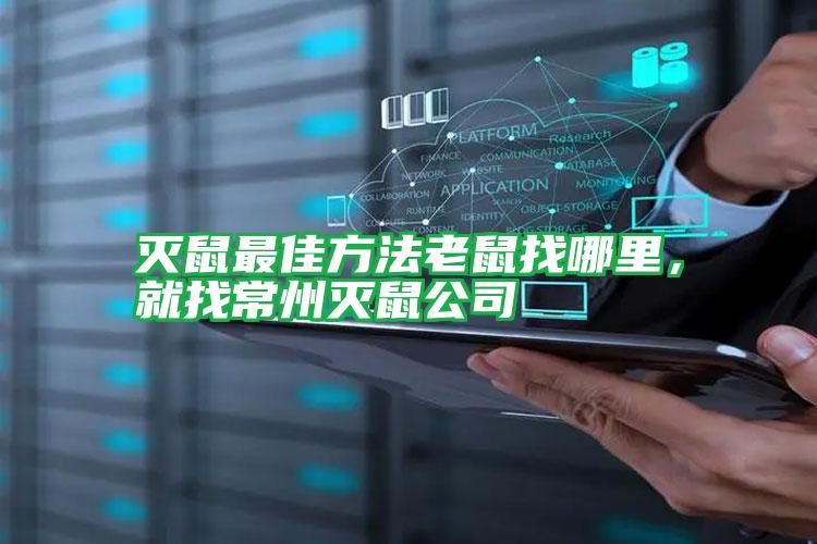 滅鼠最佳方法老鼠找哪里,就找常州滅鼠公司