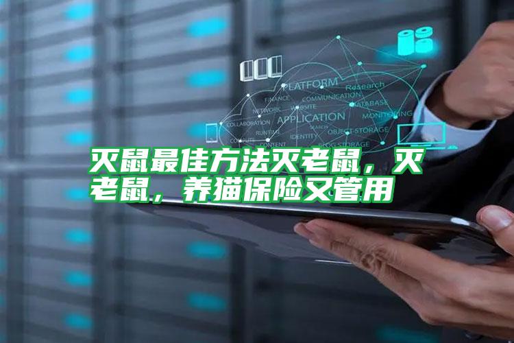 滅鼠最佳方法滅老鼠,滅老鼠,養(yǎng)貓保險又管用