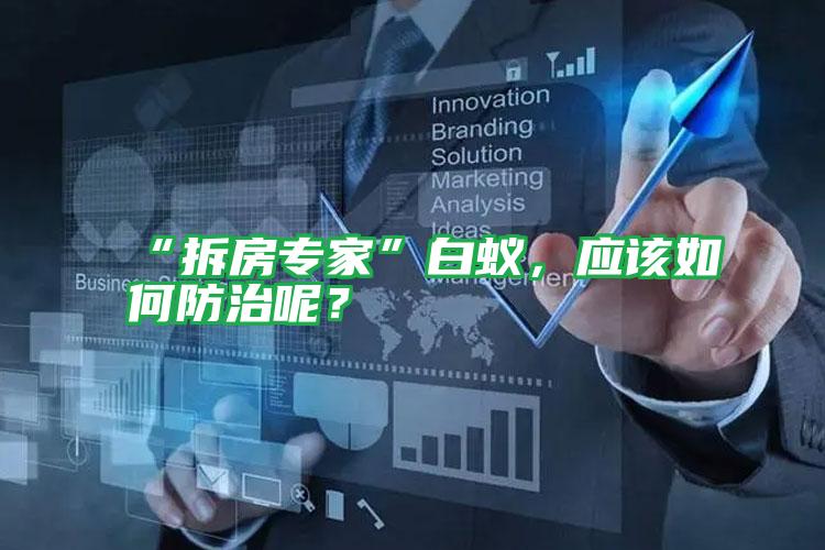 “拆房專家”白蟻,應(yīng)該如何防治呢?