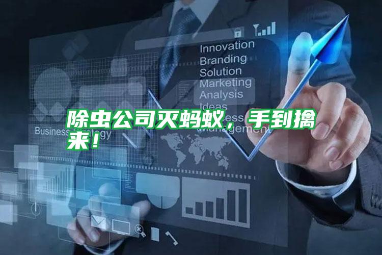 除蟲(chóng)公司滅螞蟻,手到擒來(lái)!