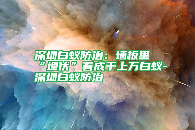 深圳白蟻防治:墻板里“埋伏”著成千上萬白蟻-深圳白蟻防治