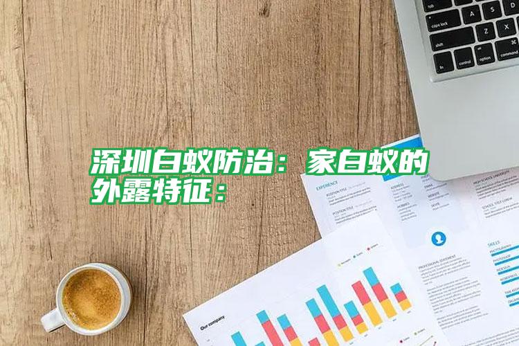 深圳白蟻防治:家白蟻的外露特征: