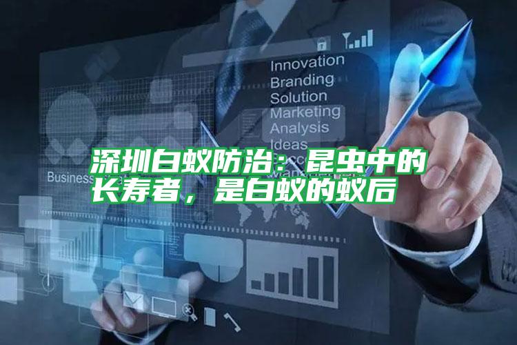 深圳白蟻防治:昆蟲中的長壽者,是白蟻的蟻后