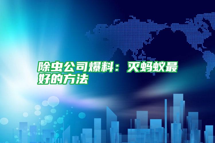 除蟲公司爆料:滅螞蟻最好的方法