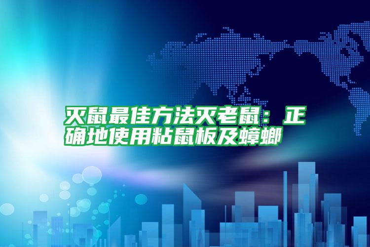 滅鼠最佳方法滅老鼠:正確地使用粘鼠板及蟑螂