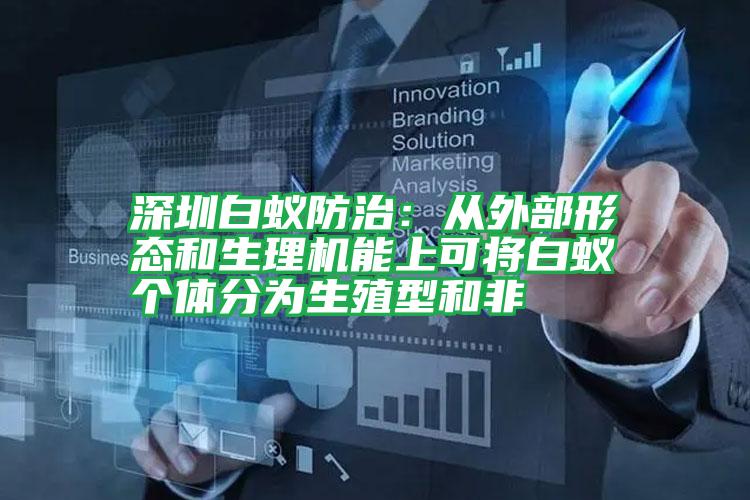 深圳白蟻防治:從外部形態(tài)和生理機(jī)能上可將白蟻個(gè)體分為生殖型和非