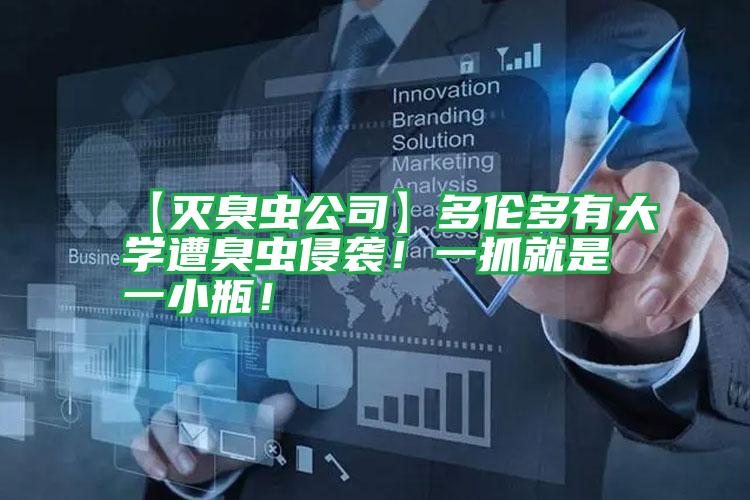 【滅臭蟲公司】多倫多有大學遭臭蟲侵襲!一抓就是一小瓶!