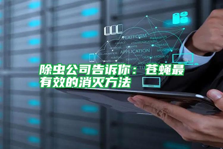 除蟲公司告訴你:蒼蠅最有效的消滅方法