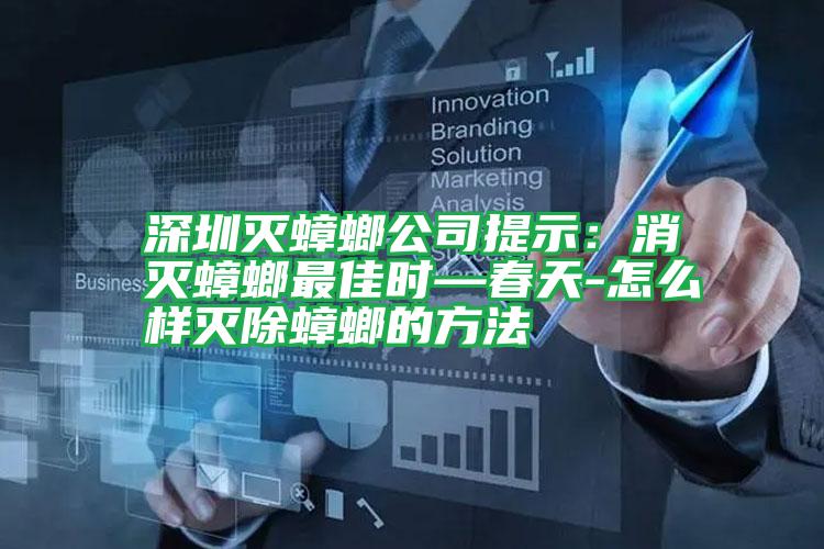 深圳滅蟑螂公司提示:消滅蟑螂最佳時—春天-怎么樣滅除蟑螂的方法