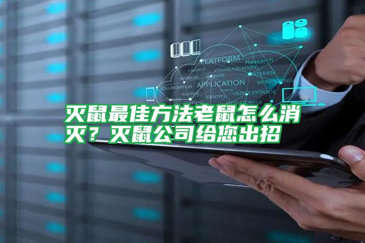 滅鼠最佳方法老鼠怎么消滅?滅鼠公司給您出招