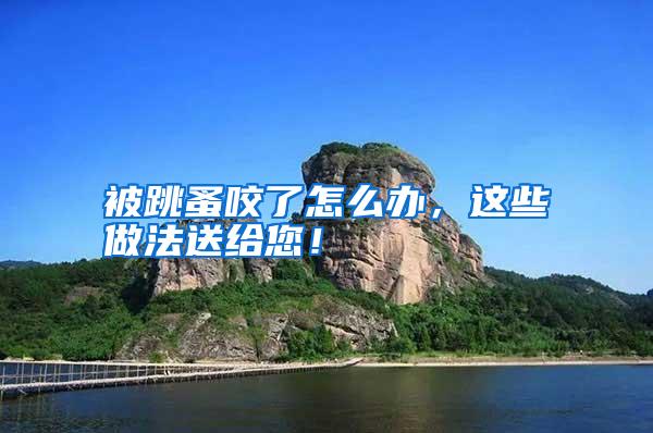 被跳蚤咬了怎么辦,這些做法送給您!