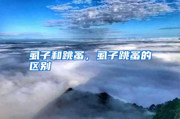 虱子和跳蚤,虱子跳蚤的區(qū)別