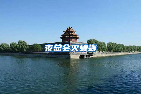 夜總會滅蟑螂