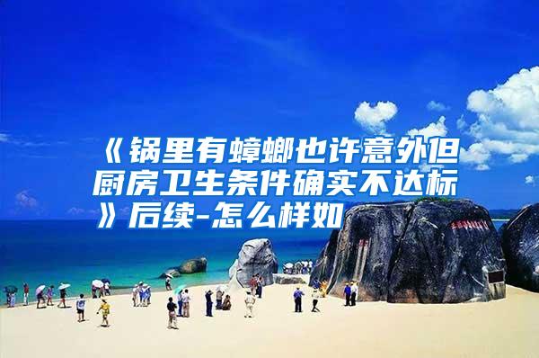 《鍋里有蟑螂也許意外但廚房衛(wèi)生條件確實(shí)不達(dá)標(biāo)》后續(xù)-怎么樣如