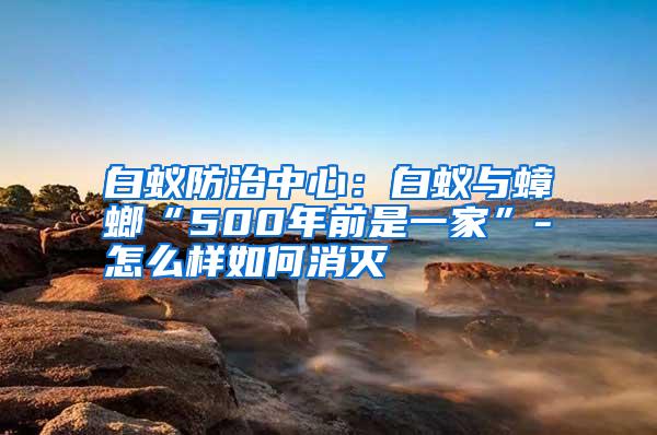 白蟻防治中心:白蟻與蟑螂“500年前是一家”-怎么樣如何消滅