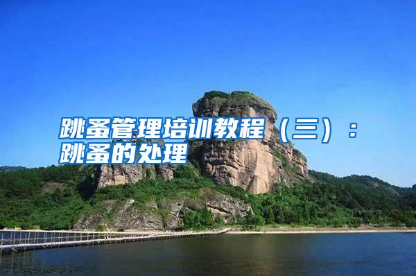 跳蚤管理培訓教程(三):跳蚤的處理