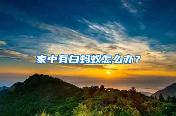 家中有白螞蟻怎么辦?