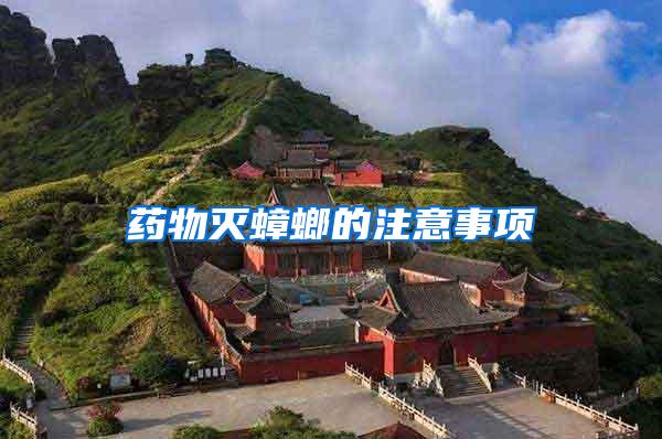 藥物滅蟑螂的注意事項