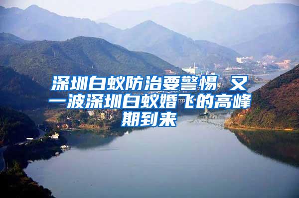 深圳白蟻防治要警惕 又一波深圳白蟻婚飛的高峰期到來(lái)