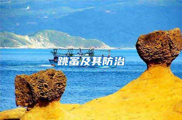 跳蚤及其防治